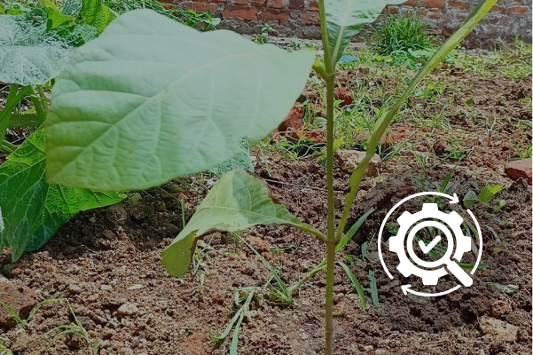 FloCard Investment Transparency